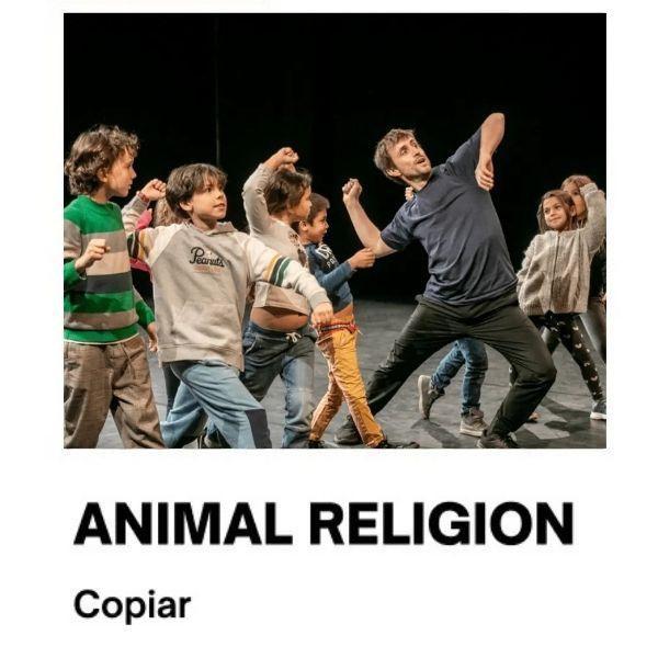 Copiar